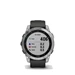 Garmin Fenix 7 Silver with Graphite Band