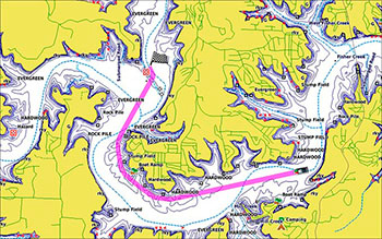 Garmin LakeVu G3 Auto Guidance